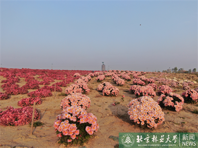 示范场景 - 复件(1).png