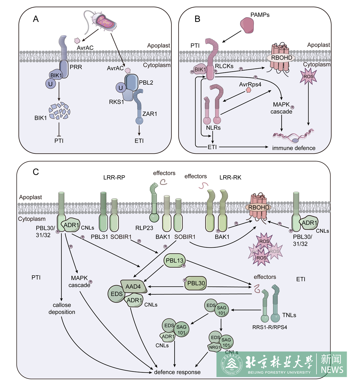 Figure 3.jpg